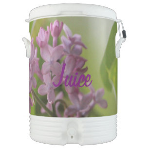 Lilac Juice Dispenser