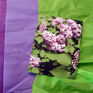 Lilac Love Postcard