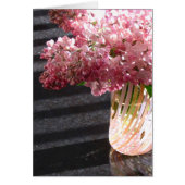 Lilac 'Maiden's Blush' (Front)