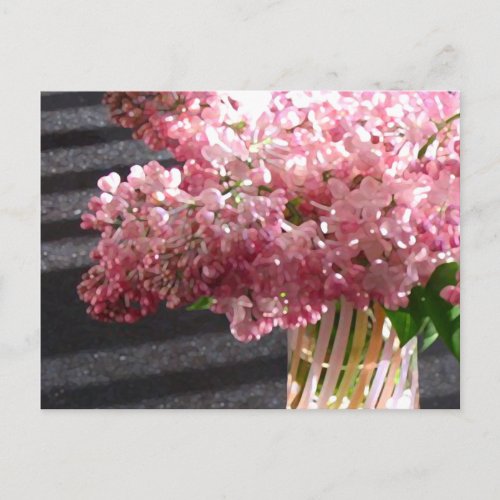 Lilac Maidens Blush Postcard