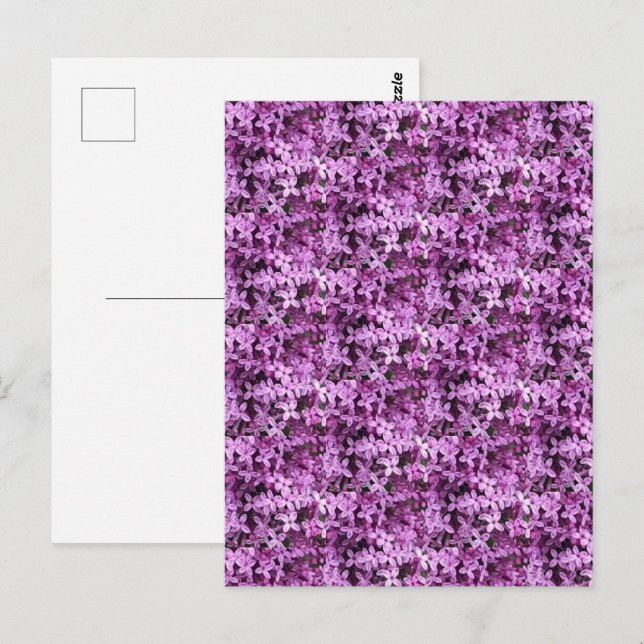 Lilac Photo | Tiled Half Drop |  Postcard (Front/Back)