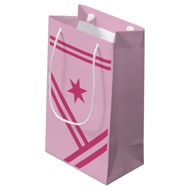 Lilac Pink Diagonal Stripes Star Modern Graphic Small Gift Bag (Back Angled)