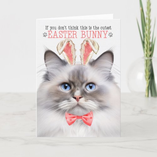 Lilac Point Ragdoll Cutest Easter Bunny Kitty Puns Holiday Card