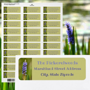 Lilac Purple Pickerelweed Flower Botanical Floral Label