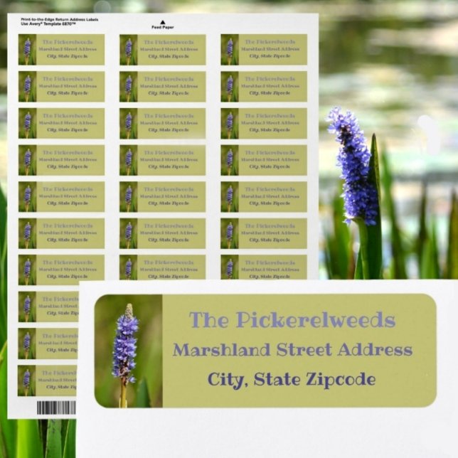 Lilac Purple Pickerelweed Flower Botanical Floral Label (Creator Uploaded)