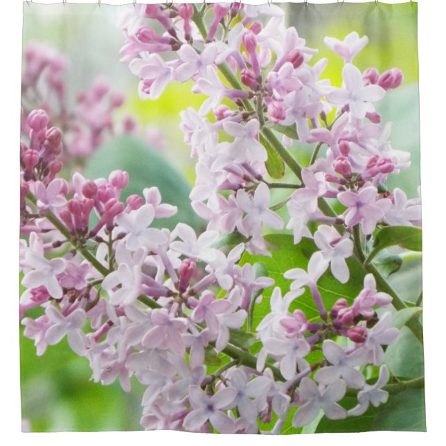 Lilac shower curtain (Front)