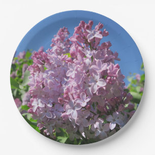 lilac, spring, blossom, purple, nature, floral, paper plates