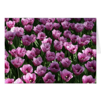 Lilac Tulips Cards