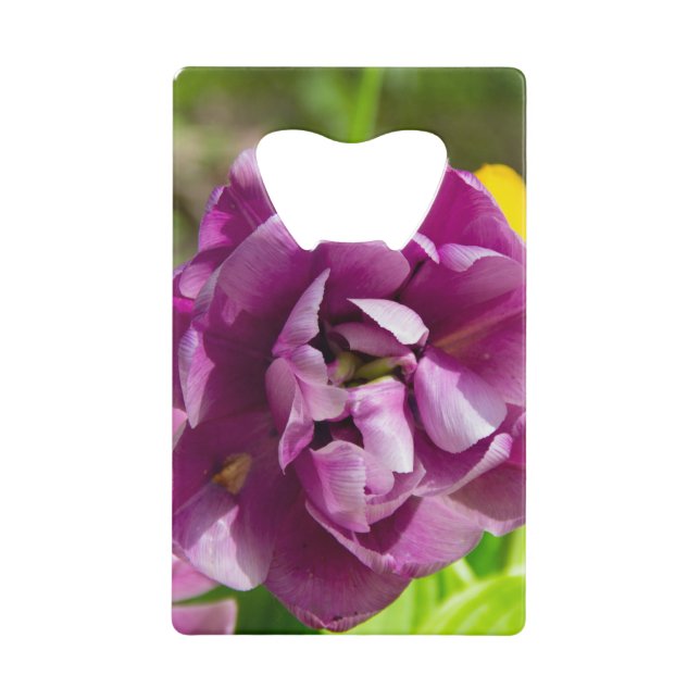 Lilac tulips on a sunny day    credit card bottle opener (Front)