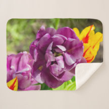 Lilac tulips on a sunny day