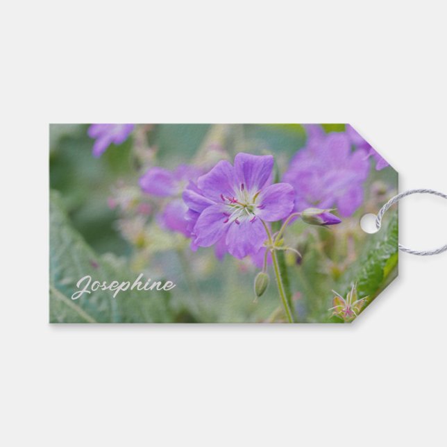 Lilac Wildflower Photo Geranium Botanical Flower Gift Tags (Front (Horizontal))