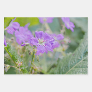 Lilac Wildflower Photo Geranium Botanical Flower Wrapping Paper Sheets