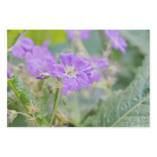 Lilac Wildflower Photo Geranium Botanical Flower Wrapping Paper Sheets