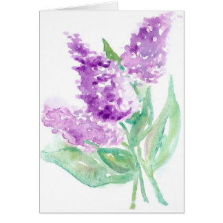 Lilacs
