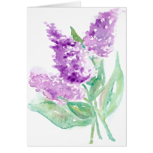 Lilacs (Front)