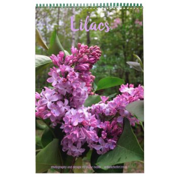 Lilacs---all Lilacs!!  Photo Calendar by logodiane at Zazzle