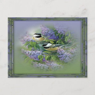 Lilacs & Birds Postcard