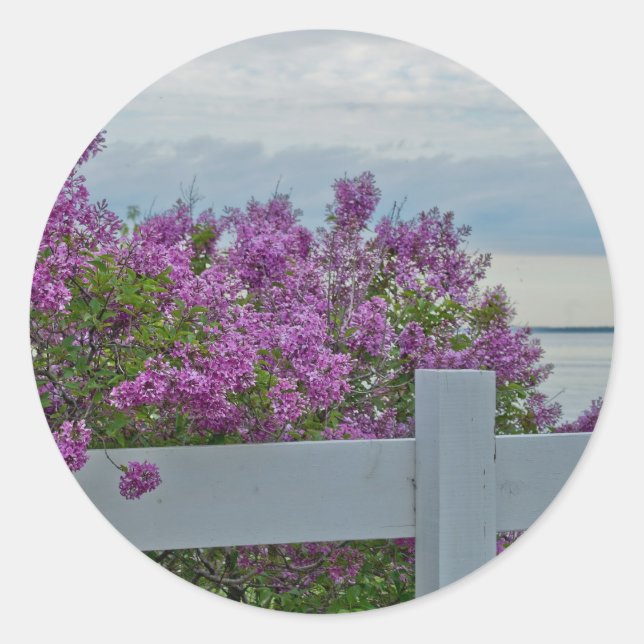 Lilacs by the Water Classic Round Sticker (Front)