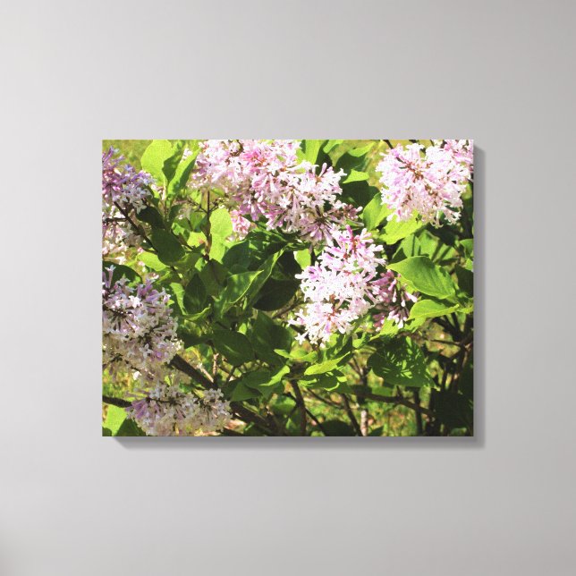 Lilacs Canvas Print (Front)