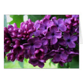 Lilacs Card (Front Horizontal)