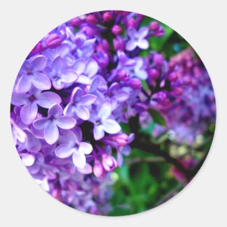 Lilacs Classic Round Sticker