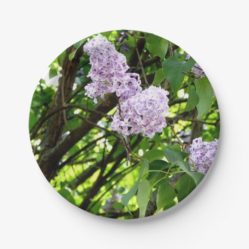 Lilacs in blossom paper plates