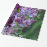 Lilacs In Lilac Vase Art Gift Wrap