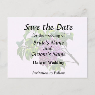 Lilacs Just Opening Announcement Postcard