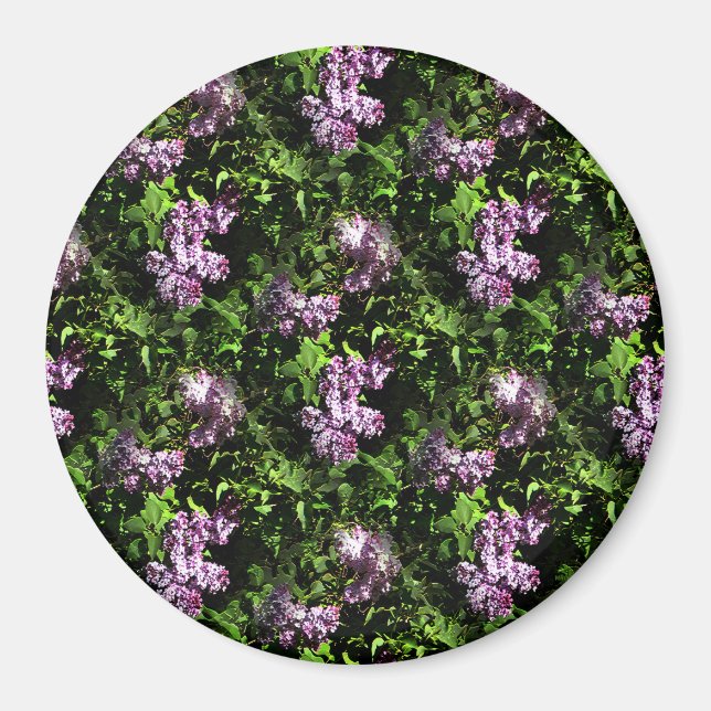 Lilacs..... Magnet (Front)