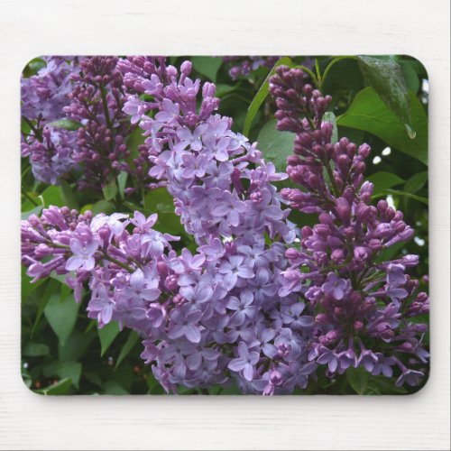 Lilacs Mouse Pad