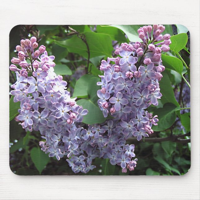 Lilacs Mouse Pad (Front)