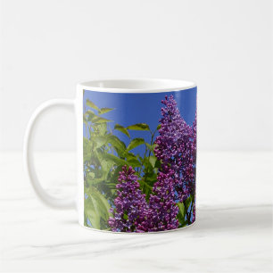 lilacs, real lilac image, blue sky, purple flowers coffee mug