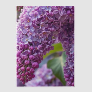 Lilacs Vellum Overlay Invitations