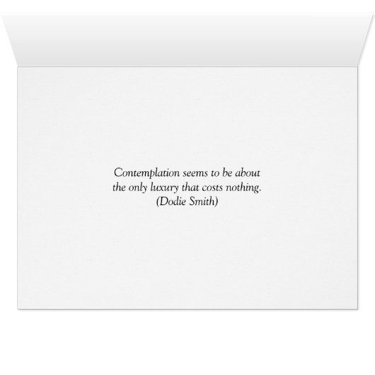 Lilies (Inside Horizontal (Bottom))