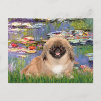 Lilies2- Pekmingese1 Postcard