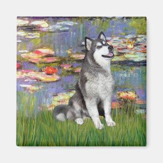 Lilies 2 - Alaskan Malamute Magnet