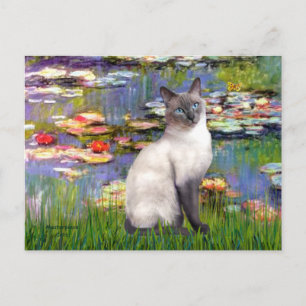 Lilies 2 - Blue Point Siamese cat Postcard