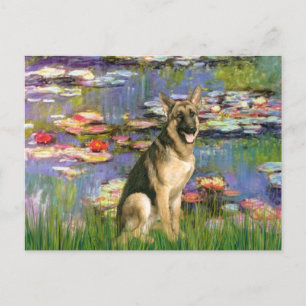 Lilies 2 - German Shepherd 2 Postcard