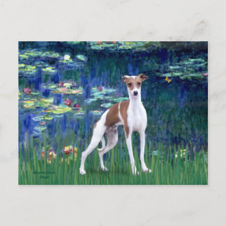 Lilies 5 - Italian Greyhound Postcard
