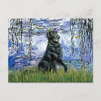 Lilies 6 - Flat Coated Retriever 2 Postcard