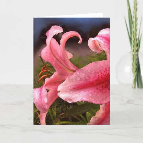 Lilies after the rain card