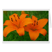 Lilies Card (Front Horizontal)