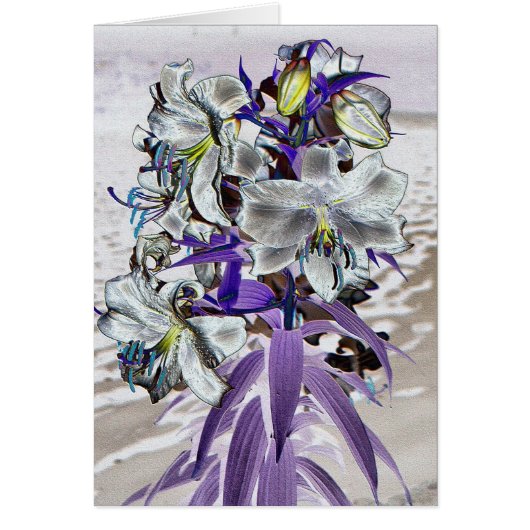 Lilies Cards (Front)