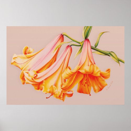 Lilies fine art botanical poster print