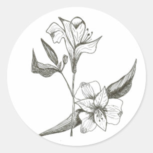 Lilies in black and white sticker