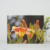 Lilies in the Sunshine (Standing Front)