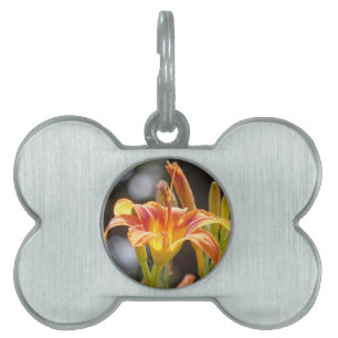 Lilies in the Sunshine Pet ID Tag