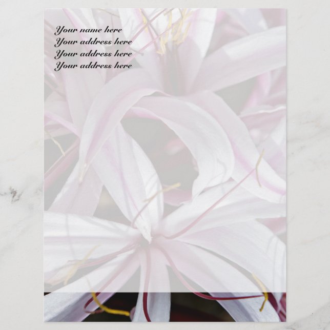 Lilies Letterhead Design (Front)