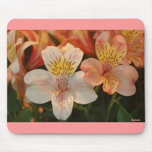 Lilies Mouse Pad (Front)