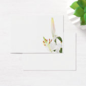 Lilies on white (Desk)